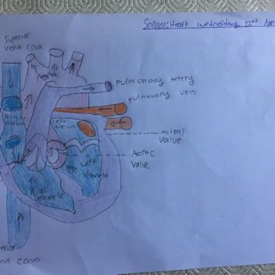 tsa_HomeLearningScience (60)